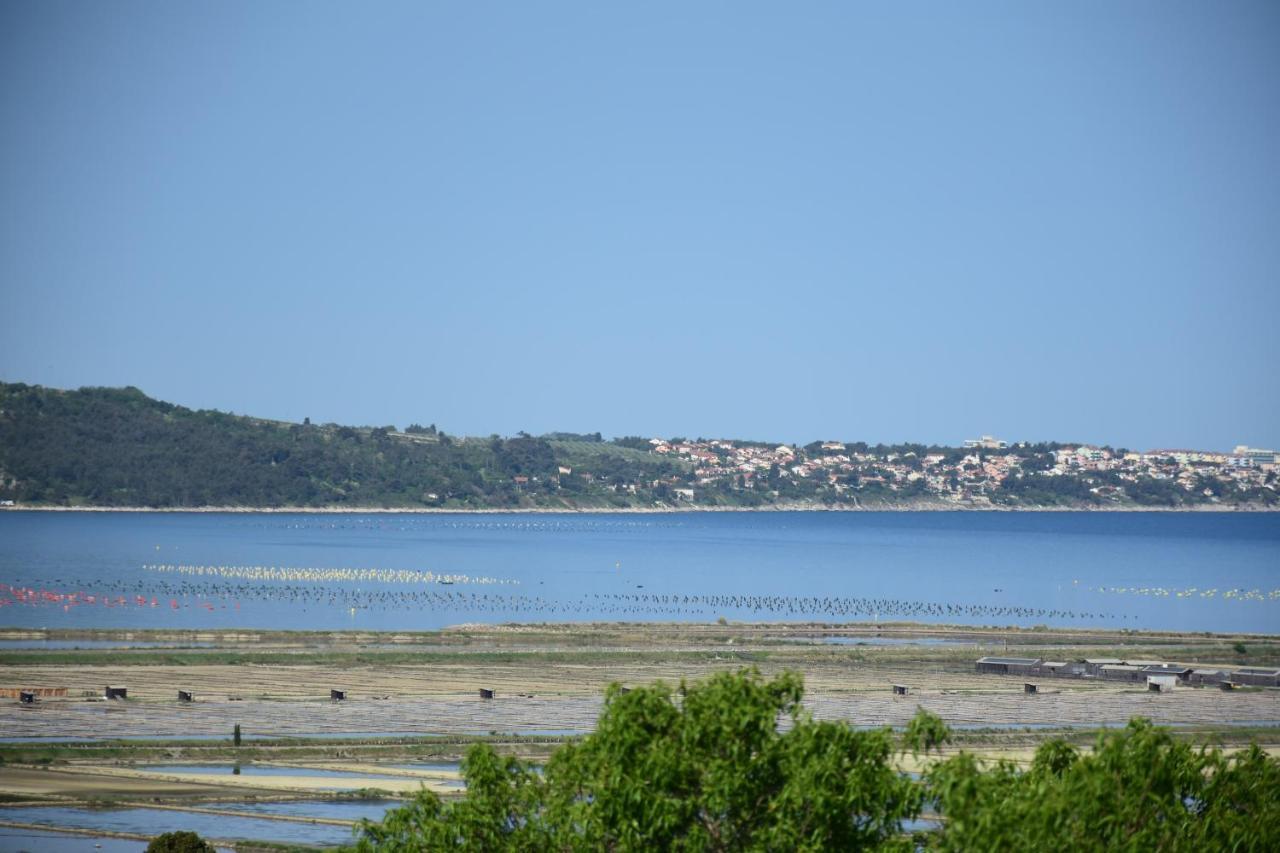 Apartment Pergola Portorož Eksteriør bilde